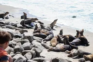 La Jolla Self-Guided Audio Tour Bundle thumbnail 5