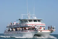 Clearwater Beach Day Trip from Orlando thumbnail 4