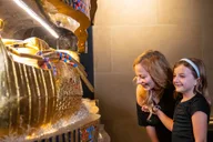 Las Vegas King Tut's Tomb Exhibit at Luxor 1 hr thumbnail 3