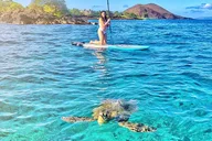 Maui Stand Up Paddle Boarding Tour in Turtle Town thumbnail 3