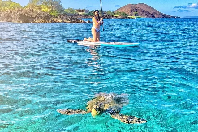 Maui Stand Up Paddle Boarding Tour in Turtle Town - Image 3