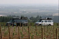 Portland Willamette Valley Wine Tour 7.5 hr thumbnail 3