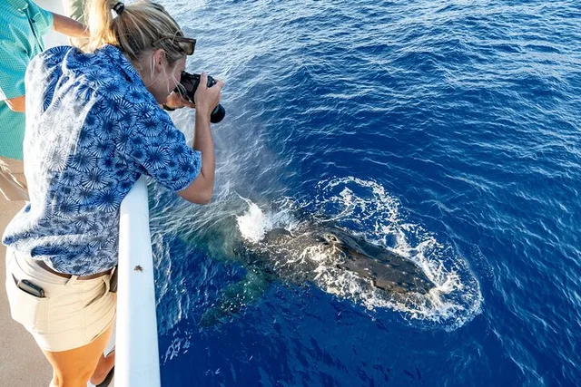 Oahu Whale and Dolphin Watch Boat Cruise 90 Min - Image 1