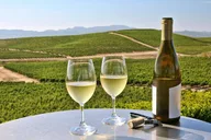 Napa and Sonoma Wine Tour from SFO thumbnail 2