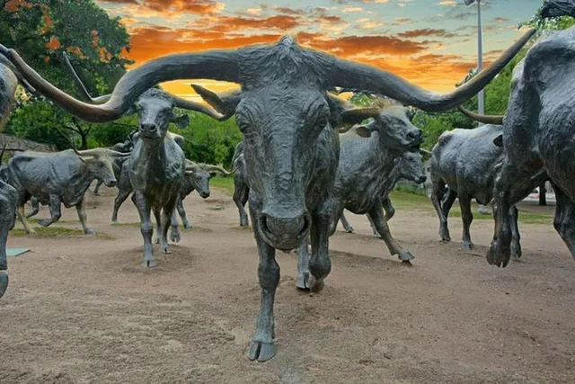 Dallas Sightseeing Bus Tour - Image 3