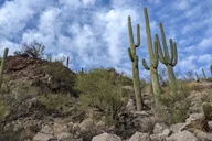 Phoenix Lime Kiln Desert Hike on the Lower Salt River thumbnail 6