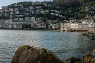 San Francisco Redwoods and Sausalito Private Tour thumbnail 5