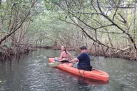 Miami Nature & Island SUP/Kayak Exploration thumbnail 6