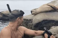 Redondo Beach Kayak and Snorkel with Sea Lions 3 hr thumbnail 6