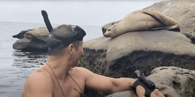 Redondo Beach Kayak and Snorkel with Sea Lions 3 hr - Image 6