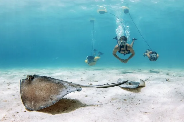 Lauderdale-By-The-Sea Snorkeling Experience with Nemo Diving System - Image 1