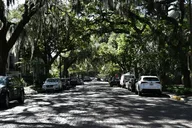 Savannah Self-Guided Audio Tour thumbnail 2