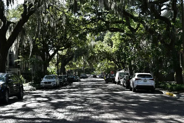 Savannah Self-Guided Audio Tour - Image 2