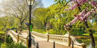 New York City Sightseeing Day Trip with Statue of Liberty