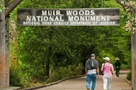 San Francisco Muir Woods and Golden Gate Bridge Tour thumbnail 2