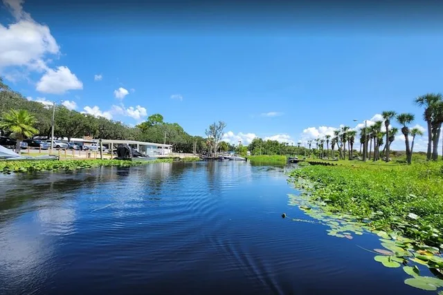 Orlando Airboat Ride in the Everglades 30 Min - Image 6