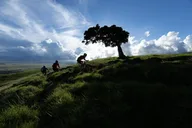 Big Island Mountain Biking on Anna Ranch thumbnail 1