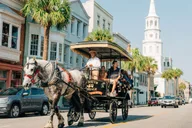 Charleston Historical Horse-drawn Carriage Tour thumbnail 4