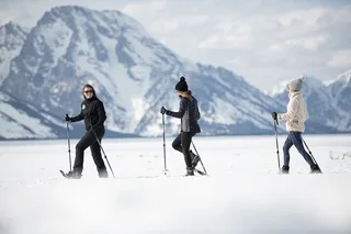 Jackson Snowshoe Tour in Grand Teton National Park 4 hr