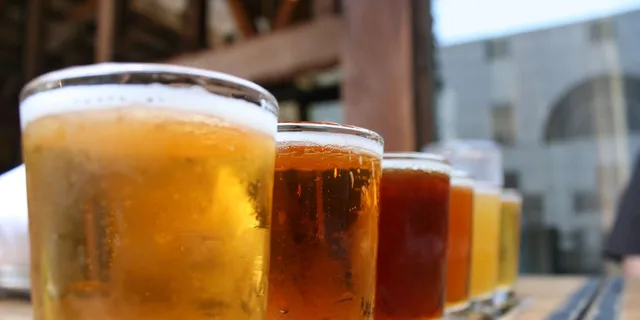 Washington DC Craft Brewery Tour with Snack 3.5 hr - Image 3