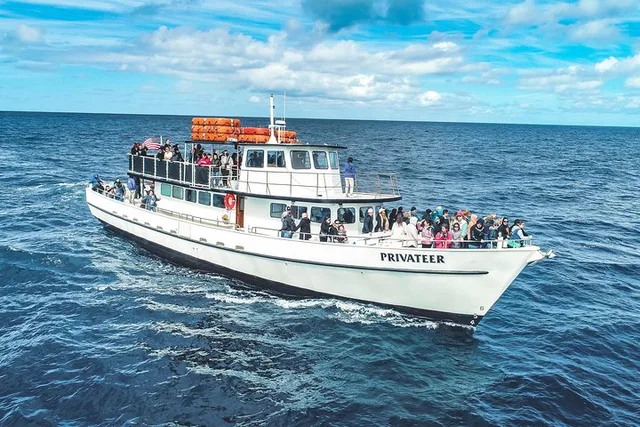 San Diego Whale Watching and Dolphin Cruise - Image 6