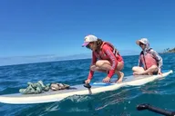 Kailua-Kona Stand Up Paddleboard Rental thumbnail 2