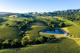 Cupertino Wine Tour of Napa & Sonoma