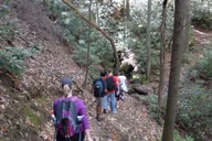 Bartram Trail Hike and Wine Tasting thumbnail 5
