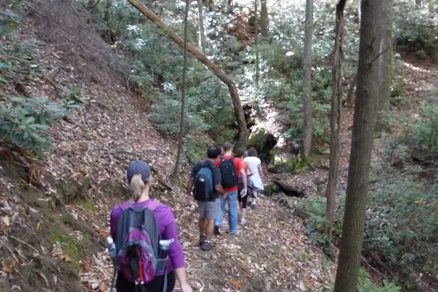 Bartram Trail Hike and Wine Tasting - Image 5