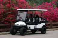 Golf Cart Rental in Honolulu thumbnail 6