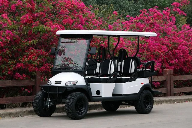 Golf Cart Rental in Honolulu - Image 6
