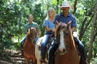 Oahu Scenic Horseback Ride 1 Hour thumbnail 5