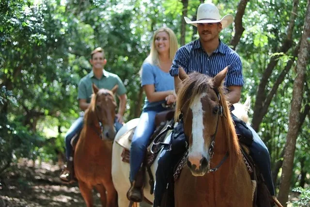 Oahu Scenic Horseback Ride 1 Hour - Image 5