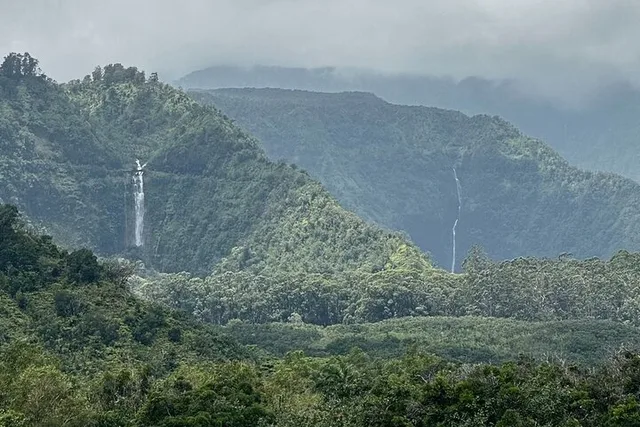 Maui Road to Hana Open-Air Jeep Tour - Image 6