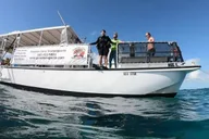Key Largo Snorkeling and Scuba Reef Trip thumbnail 4