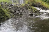 Hilo Waterfall Hike and Swim with Native Hawaiian thumbnail 5