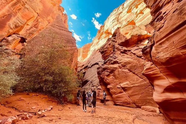 Grand Canyon South Rim, Antelope Canyon and Horseshoe Bend Tour - Image 2