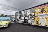 Miami Private Walking Tour with a Local thumbnail 2