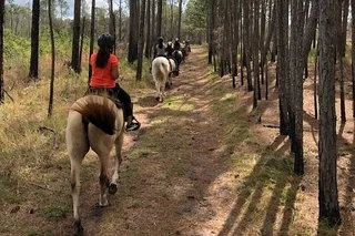 Lake Louisa Horseback Ride