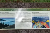 San Francisco Muir Woods and Marin Headlands Private Tour thumbnail 5