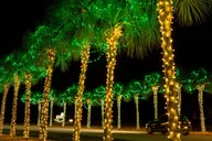 Charleston Holiday Festival of Lights Tour thumbnail 6