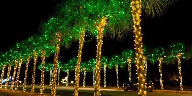 Charleston Holiday Festival of Lights Tour - Image 6