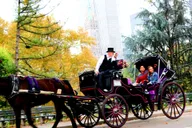 New York Central Park Horse-Drawn Carriage Ride 50 Min thumbnail 4