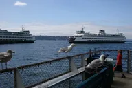 Seattle Private Tour thumbnail 1
