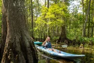 New Orleans Manchac Swamp Kayak Tour thumbnail 3