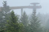 Great Smoky Mountains Driving Tour thumbnail 2