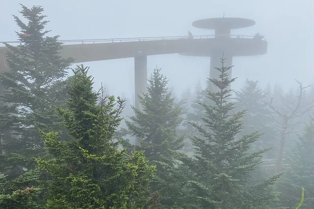 Great Smoky Mountains Driving Tour - Image 2