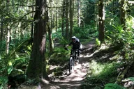 Seattle Mountain Biking Adventure thumbnail 5