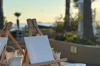 Wine Country Paint and Sip Experience