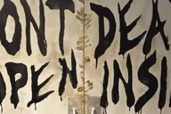 Atlanta Walking Dead Film Location Tour thumbnail 5